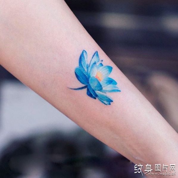 蓝莲花纹身图案欣赏及寓意，永不凋零的圣洁之花