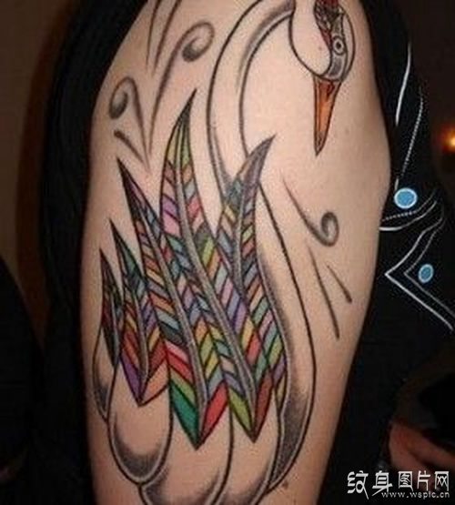 天鹅纹身图案欣赏，独具特色的纹身设计