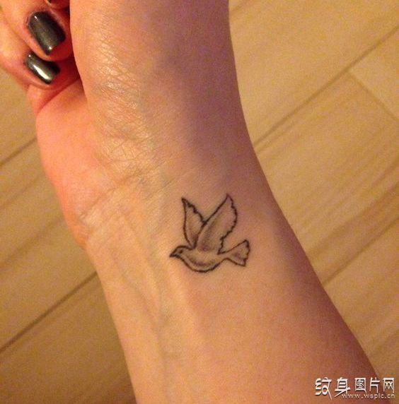和平鸽纹身图案及手稿，你知道它们的来历与含义吗