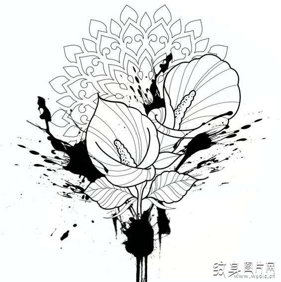 马蹄莲纹身图案及手稿欣赏，永结同心的美好象征