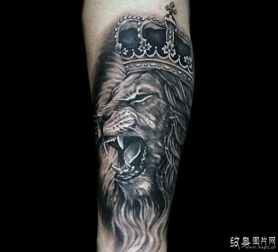 猛兽纹身图案欣赏 全球最具代表性的八大纹身