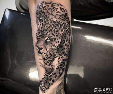 猛兽纹身图案欣赏 全球最具代表性的八大纹身