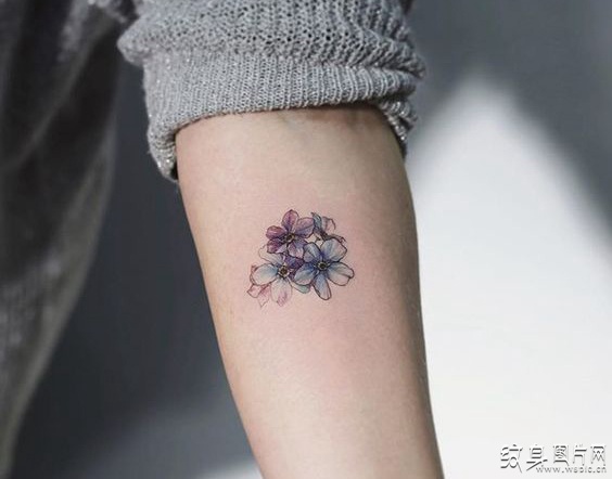 勿忘我纹身图案与寓意 小清新风格的可爱设计 勿忘我纹身图案与寓意 小清新风格的可爱设计