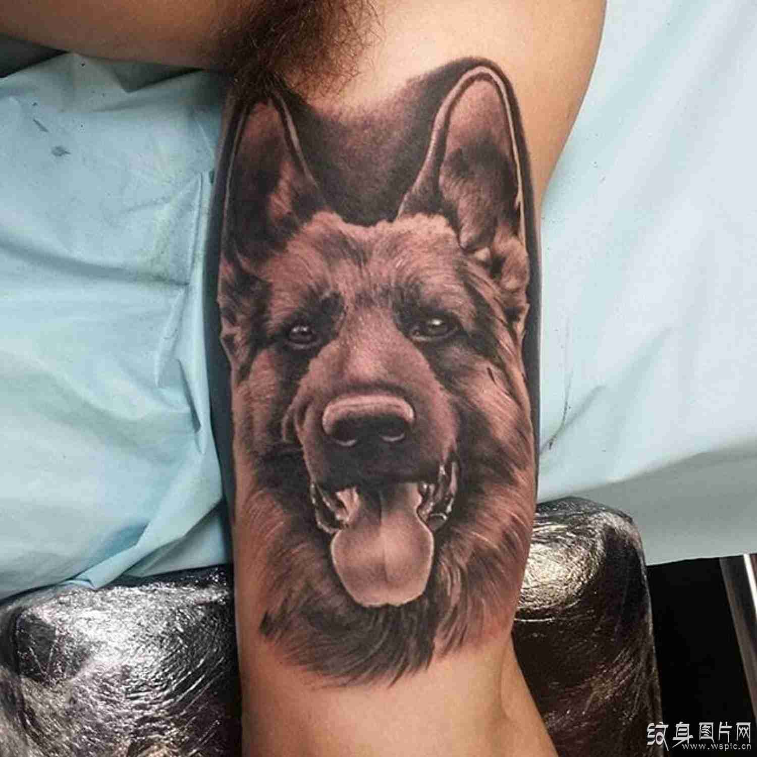 牧羊犬纹身图案欣赏 聪明温顺的人类伙伴