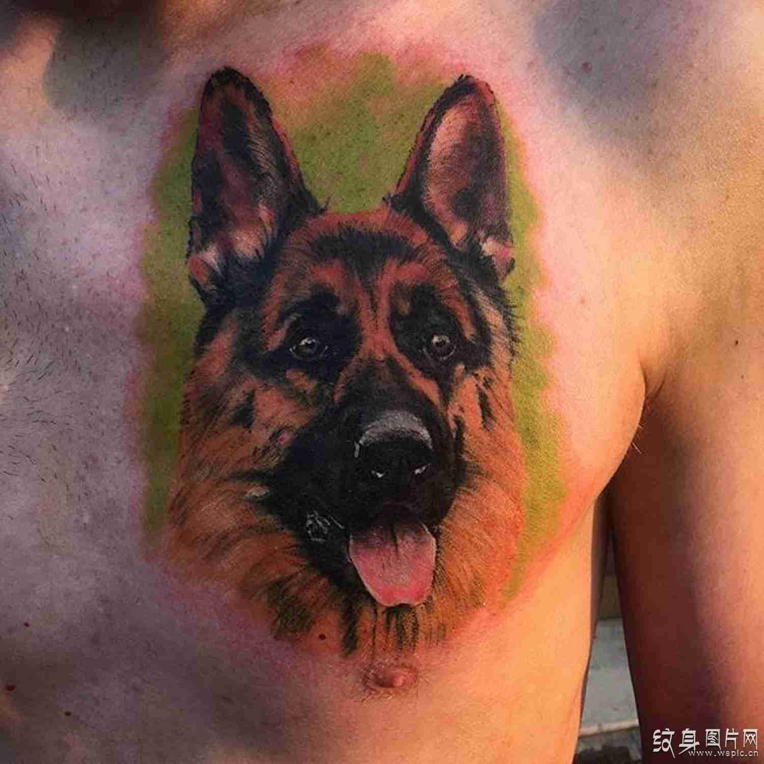 牧羊犬纹身图案欣赏 聪明温顺的人类伙伴