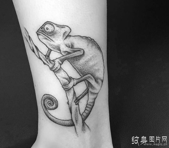 变色龙纹身及手稿 探寻其中的含义与注意事项
