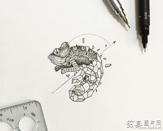 变色龙纹身及手稿 探寻其中的含义与注意事项