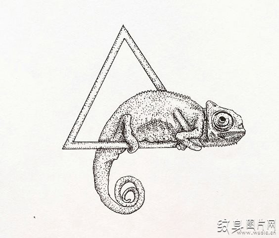 变色龙纹身及手稿 探寻其中的含义与注意事项