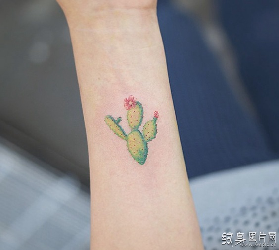 仙人掌纹身图案及意义 可爱的小清新风格设计