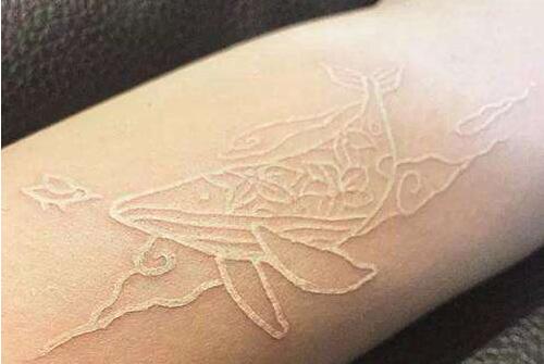 鸽子血纹身价格怎么算，危险大于刺激