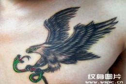 胸口老鹰纹身图案大全图片