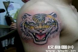 经典老虎纹身图案大全图片